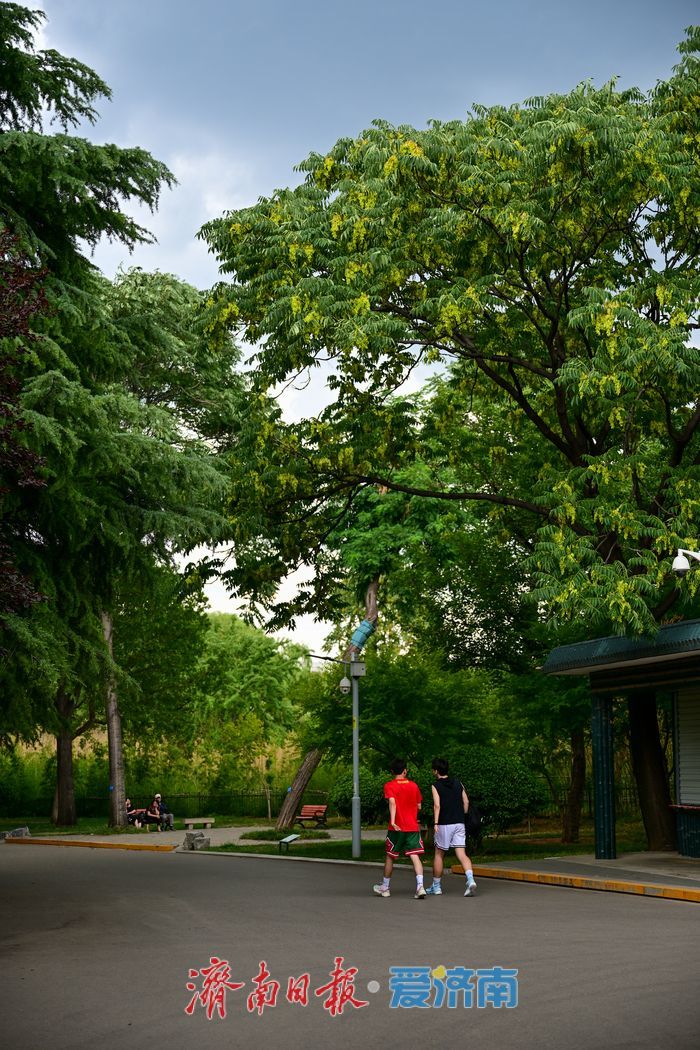 一年四季 泉在济南丨游泉城公园，静享城市“慢生活”