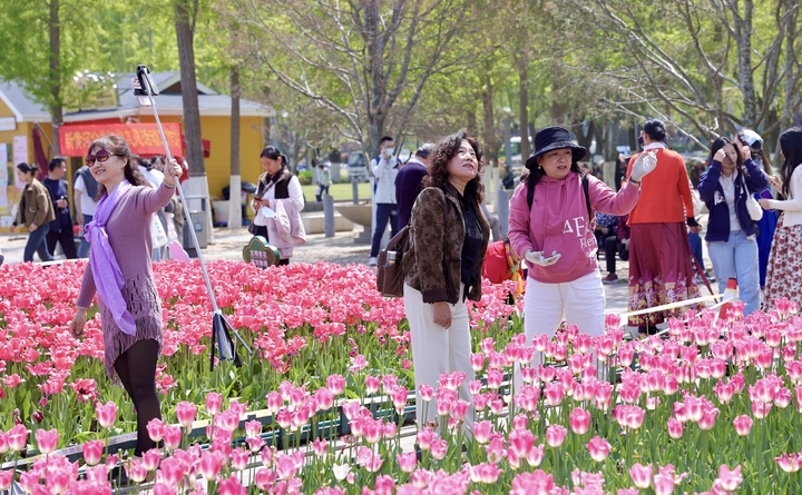 “泉”在济南过五一｜花海经济热度不减