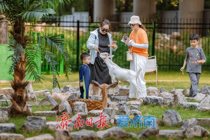 一年四季 泉在济南丨鲜花港杉林水乐园、杉水间营地开业,解锁夏日清凉潮玩法