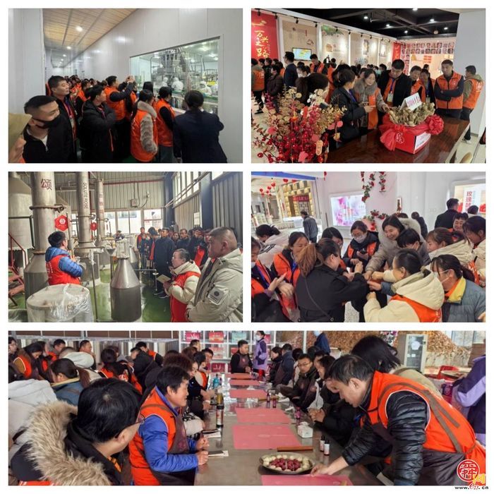培训简讯丨感受品牌力量 学习融合经验