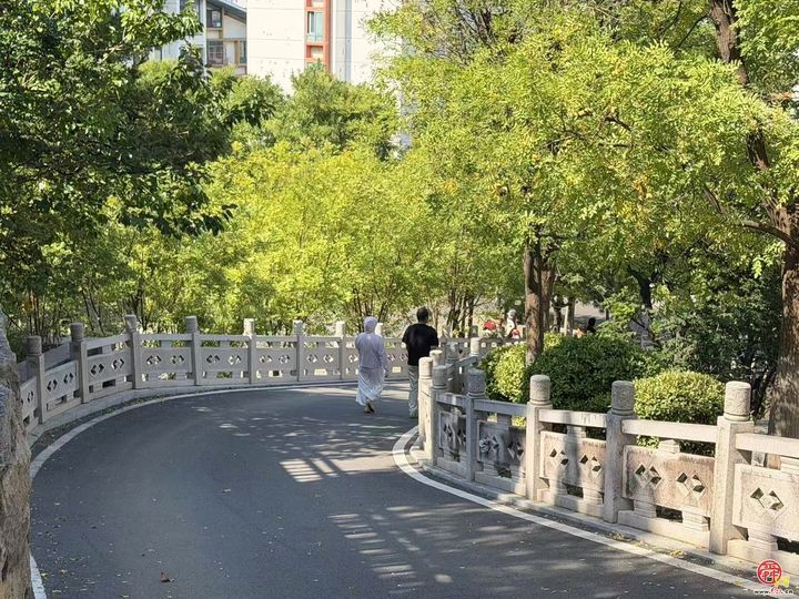 打卡济南大山坡，感受山与城