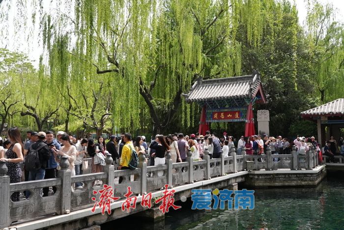 趵突泉畔觅清凉