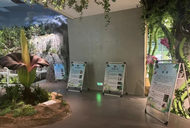 济南初秋好去处，藏在公园里的文化盛宴等您来