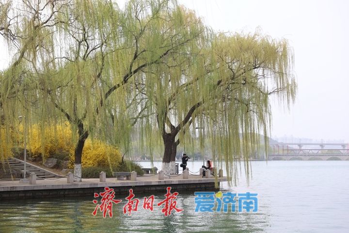 春暖花开景色宜 游园踏青享春光