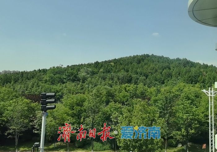 云巴视角下的唐冶山公园别样青翠