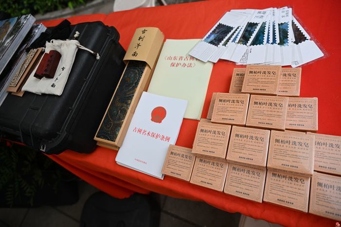 创新潮范足！“古树济南·商埠‘Tree-walk’派对”大型文化活动落幕
