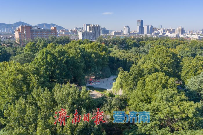 一年四季 泉在济南｜城芯林海秋意浓，济南百花公园扮靓泉城宜居空间