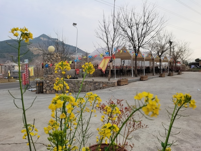 注意！预报明天沙尘来袭