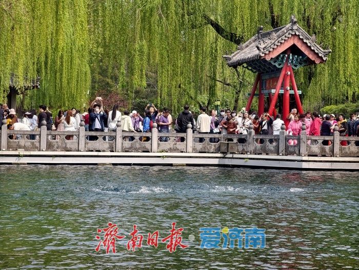一年四季 泉在济南丨打卡无需“抢位”，暮春泉韵更怡人