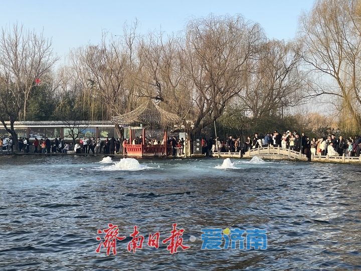 “泉”在济南过大年丨赏泉品韵寻年味 明水古城春意浓