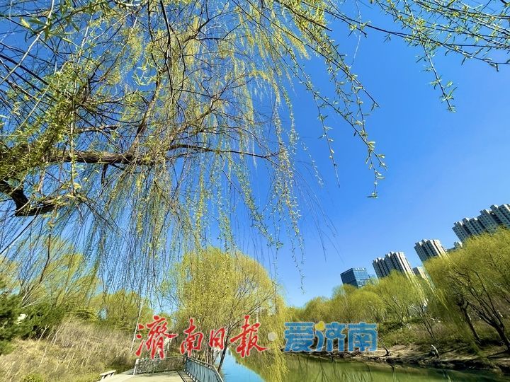 小清河春意盎然