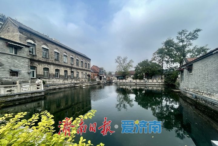 一年四季 泉在济南丨秋染泉池 静美如画