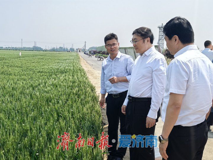 认真开展学习教育扎实做好农业生产各项工作 杨峰到新旧动能转换起步区、商河县调研