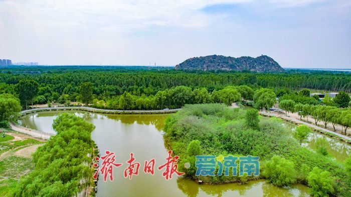 一年四季 泉在济南丨端午假期不停歇 起步区再添一处“遛娃”乐园