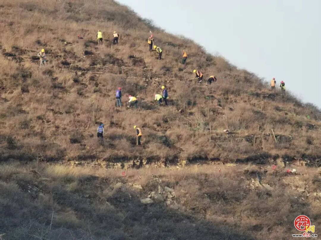 城市因园林更美好 生活因园林更幸福——2025年济南市园林和林业绿化局高质量成果展（生态建设篇）