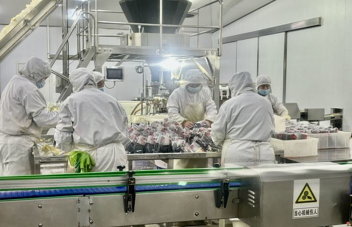 云话山东｜深耕综合性国际贸易，稳步前行于全球贸易新征途