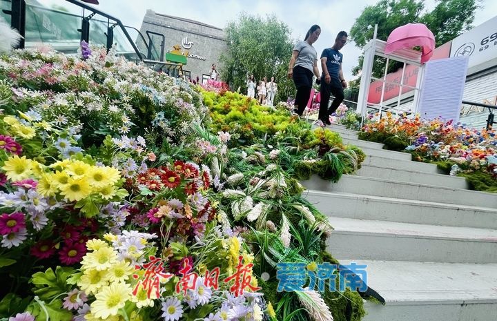 闯入现实版莫奈花园！老商埠“花海楼梯”浪漫值拉满