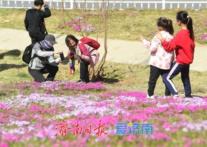 假期最后一天，济南这些地方不要错过！