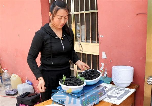 平阴夏日“葚”是美好！赴一场吃到满嘴紫红色的甜蜜之约