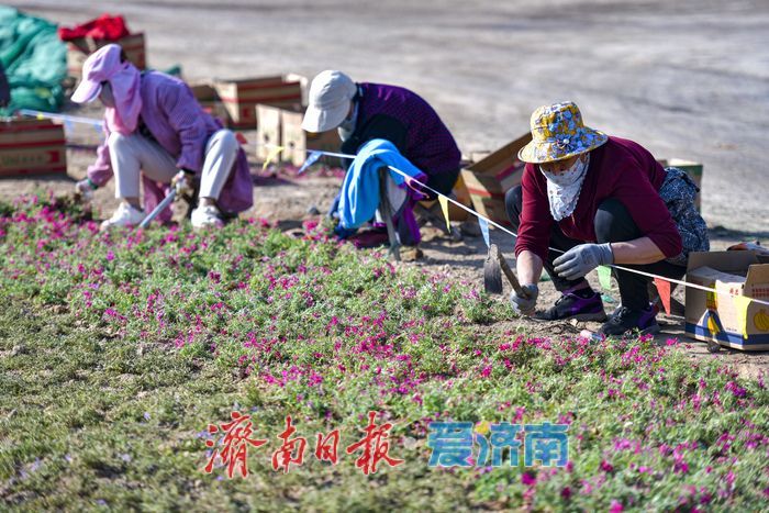 港九路拓宽改造将迎来新景观