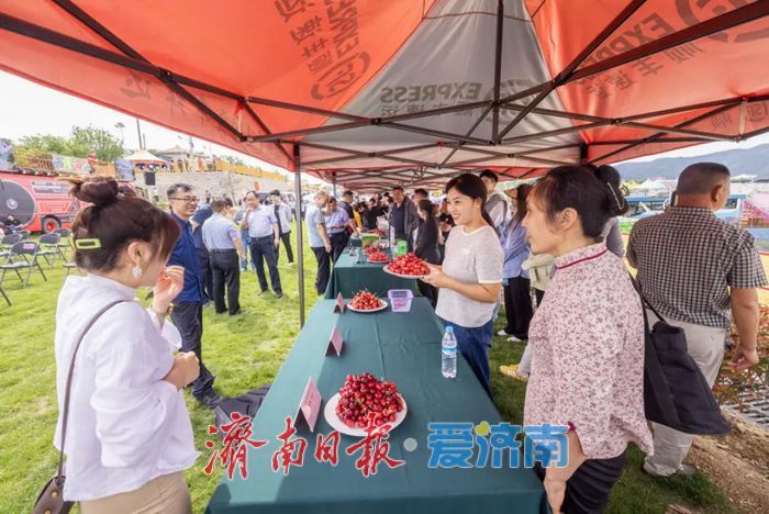 一年四季 泉在济南丨樱桃退场，甜蜜不散场！“泉果飘香”迎来“盛夏的果实”