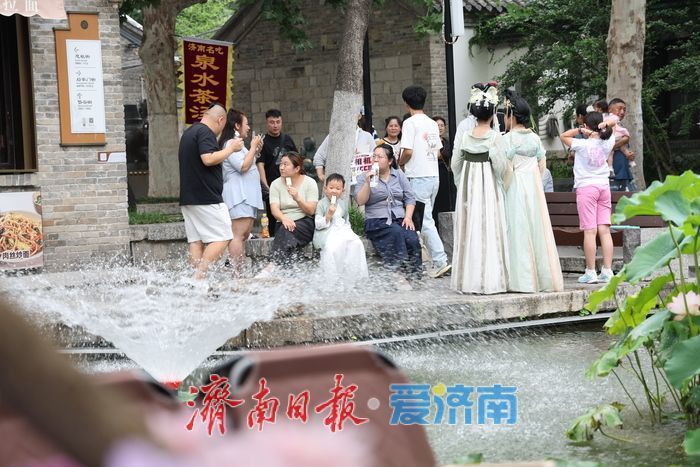 一年四季 泉在济南丨百花洲荷风泉韵引游人消暑赏景