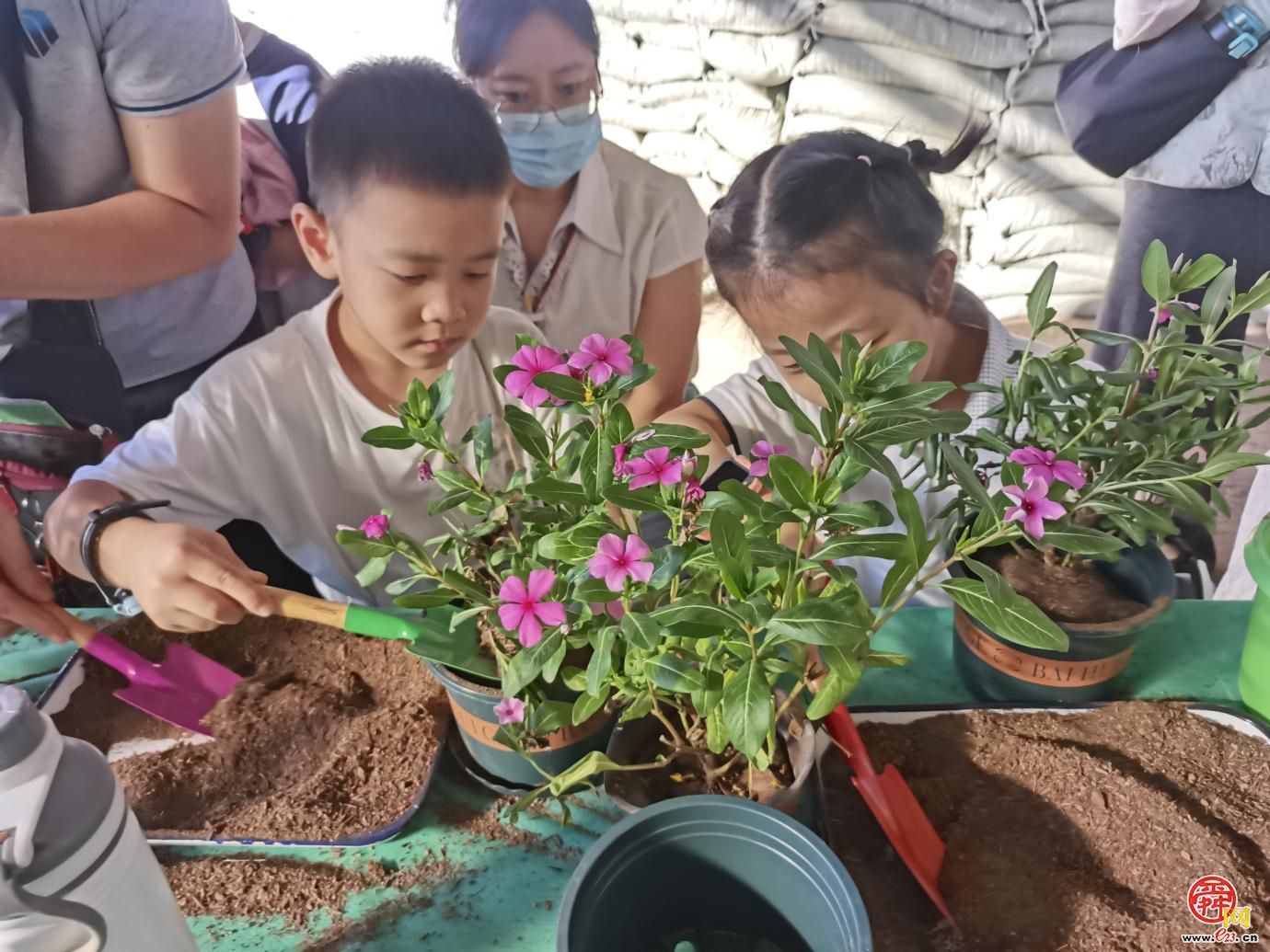 落木化春 绿妆泉城 济南园林绿化废弃物演绎环保创意大变身