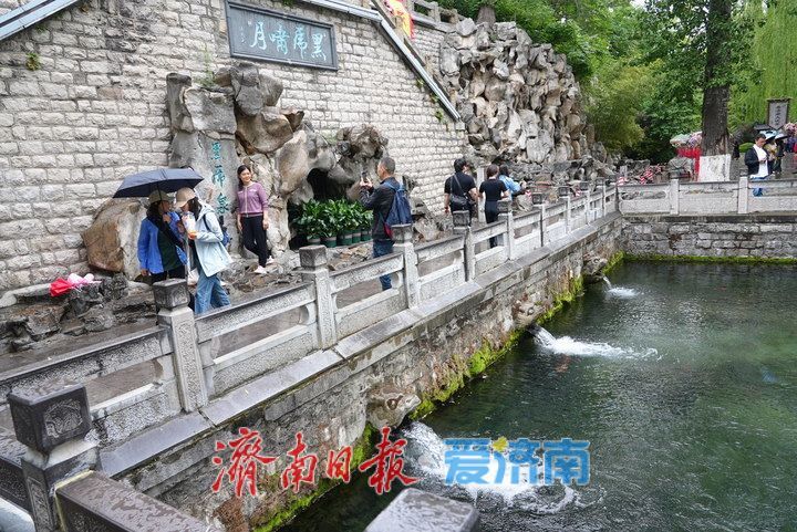 夏雨润泉城 画意护城河
