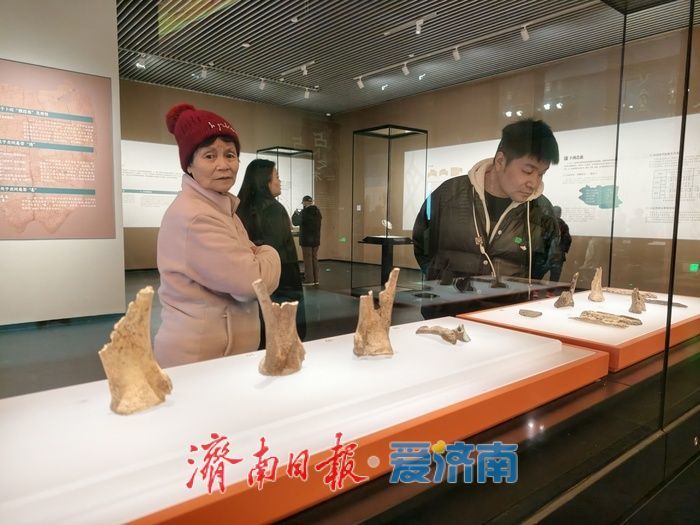 一年四季 泉在济南丨大辛庄遗址博物馆人气十足，沉浸式体验让三千年前历史“活”起来