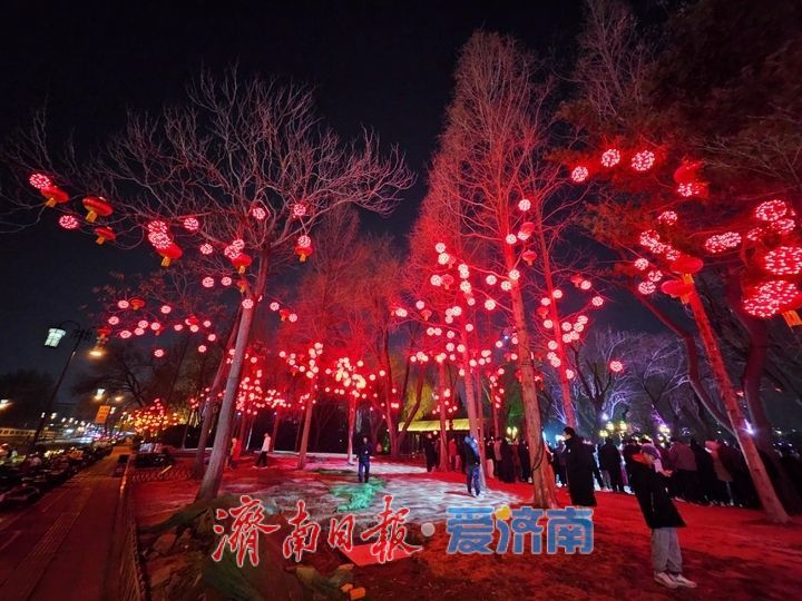 流光溢彩年味浓 大明湖夜间灯笼点亮泉城新春夜