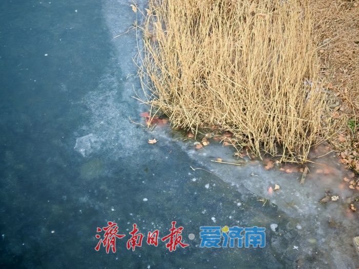 一年四季 泉在济南丨腊山分洪道美成水墨风景画