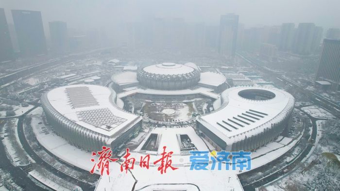 雪染 “东荷西柳” 济南奥体中心现水墨盛景