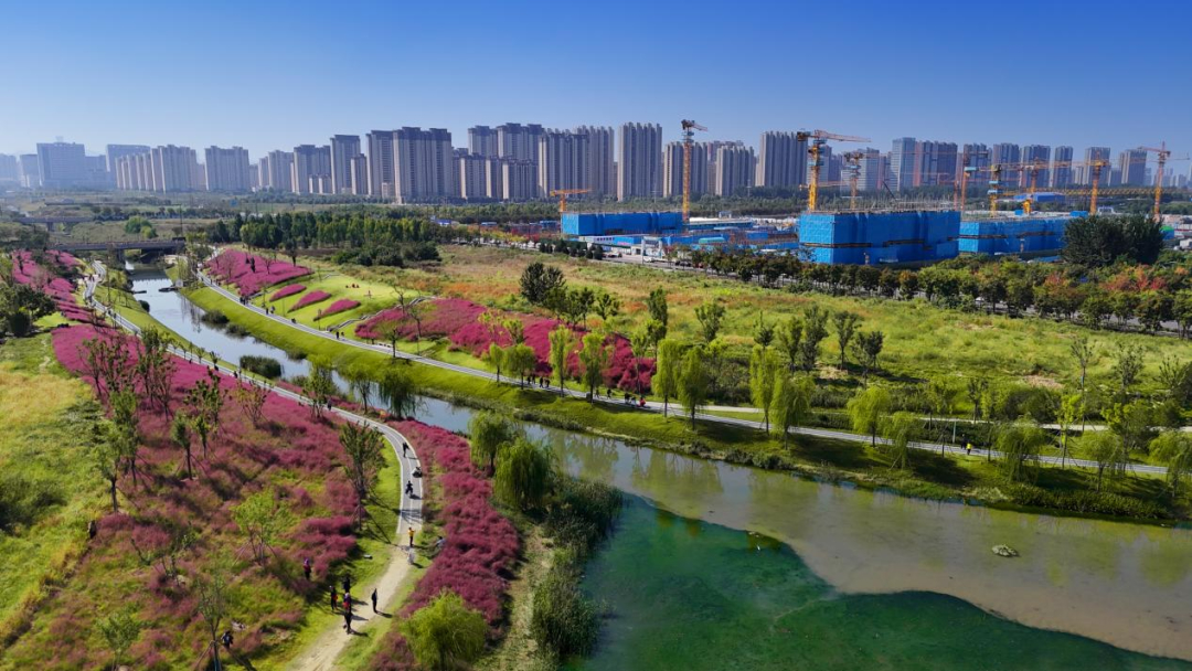 济南这条河，火了！