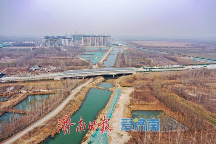 化身“河道医生”，济南起步区守护碧水清流