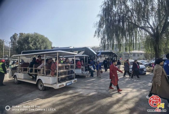 垛庄镇：秋意浓文旅热，“漫山红叶”引领赏秋新风尚