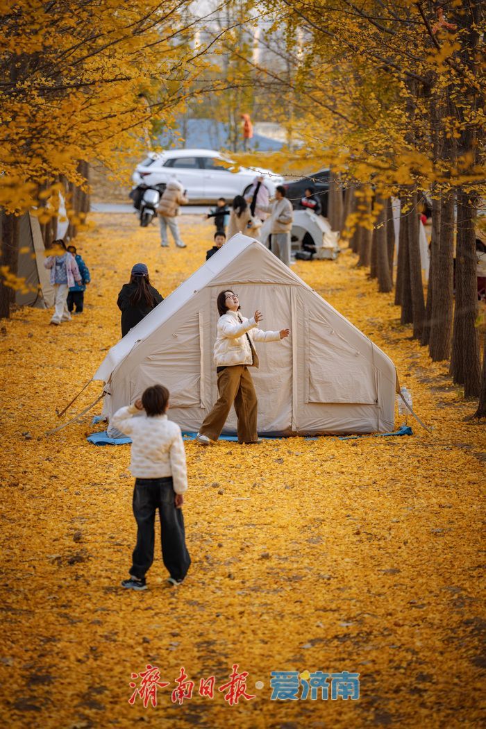 济南黄河南岸初冬：生态韵致绵长，冬景诗意斐然