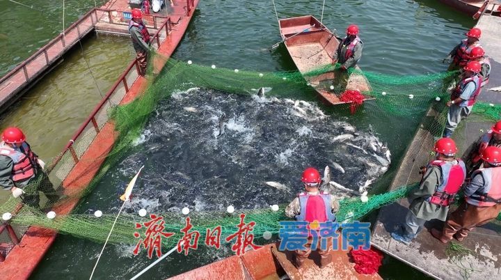 趵眼｜从“景点观光”向“全域体验”，假期济南精彩纷呈