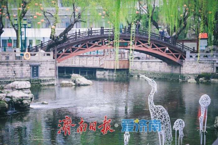 一年四季 泉在济南｜丹青绘泉水 雨后景更幽