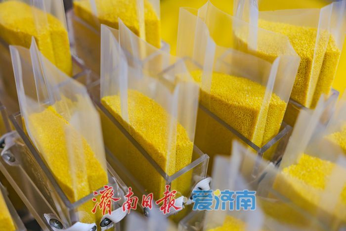 增产三成！济南章丘祥霞农场80亩龙山贡米迎丰收