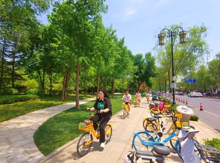 “城中之湖”一览无余