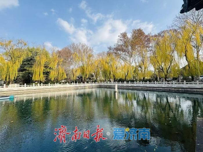 一年四季 泉在济南｜蓝天白云映清泉 济南珍珠泉冬日景致引客来