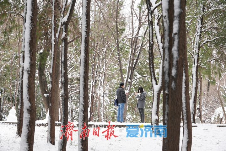 雪后泉城公园美景持续 宛如童话世界