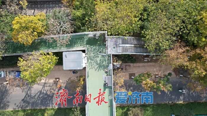 济南经十路全民健身中心东侧过街天桥加装电梯 近期投用