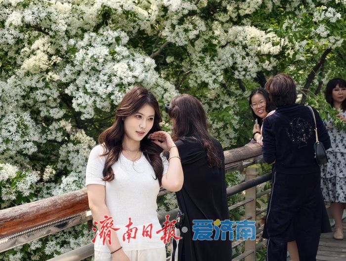 一年四季 泉在济南｜泉城公园流苏盛放，风过枝头满是温柔