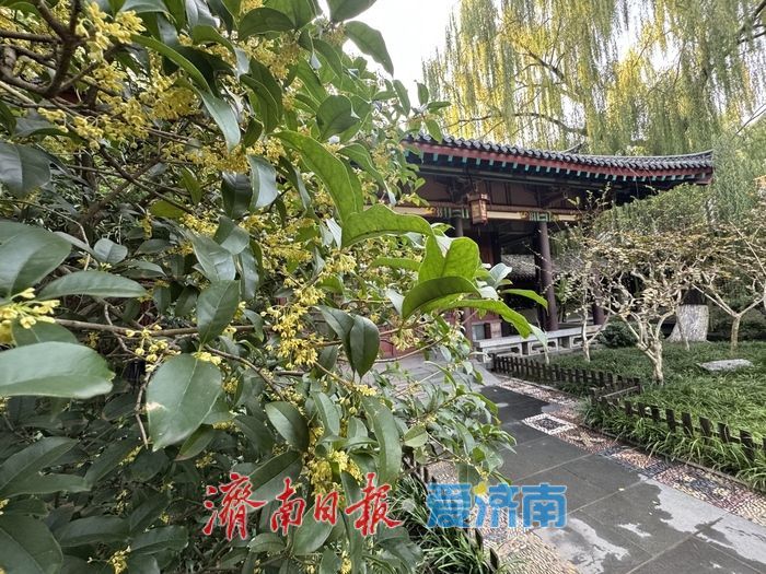一年四季 泉在济南 