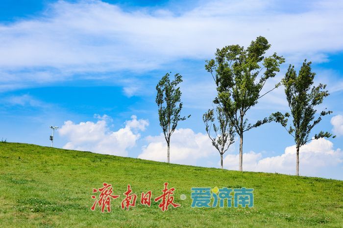 一年四季 泉在济南丨城市中的绿野牧歌