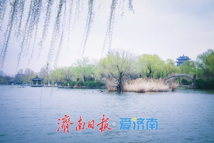 雨霁天青染明湖 泉城春韵入画来