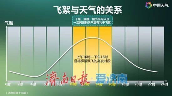 济南飞絮高峰来袭，这些防护措施快收好