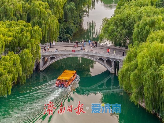 暮色熔金，大明湖铺开夏日画卷