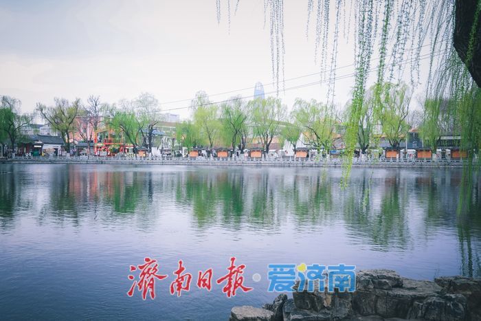 雨霁天青染明湖 泉城春韵入画来